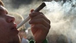 A marihuána a legelterjedtebb drog Romániában