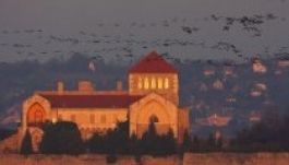 Harmincezer lúd érkezett a tatai Öreg-tóra