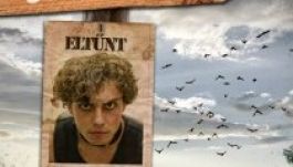 Új helyszínen a szatmári bábtagozat első bemutatója