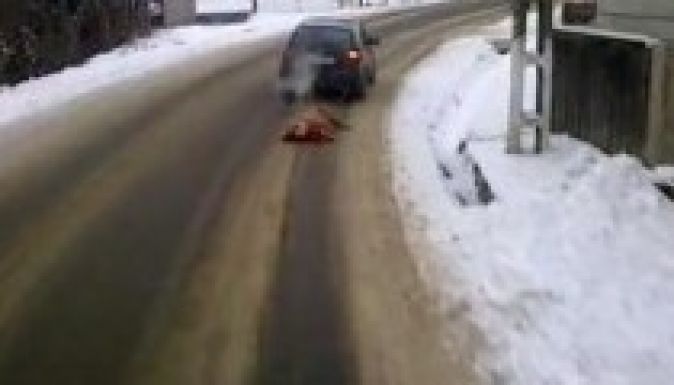 Így szállítják a levágott sertést Romániában (VIDEÓ)