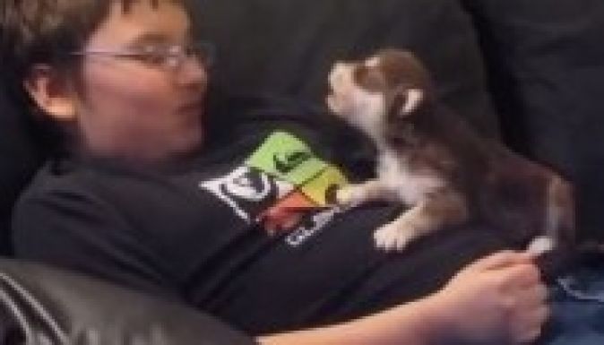 Az év cukisága: ugatni tanítanak egy huskykölyköt (VIDEÓ)