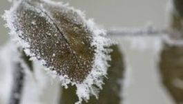 Kőrepesztő hidegre ébredtek a csíkszeredaiak