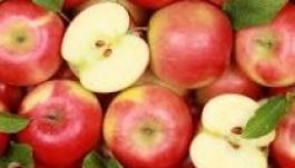 Almát, narancsot, ajándékokat gyűjtenek Háromszéken