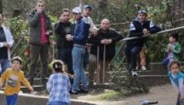 Román bevándorlók hullámától tartanak német nagyvárosokban