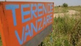 Mennyi hazai termőföld kerül külföldiekhez?