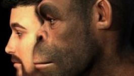 Négyszázezer éves ember DNS-ét rekonstruálták