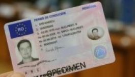 Külön jogosítvány a hivatásos és az amatőr sofőröknek?