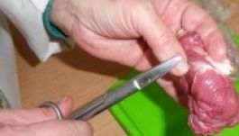 Kórházba került egy család, mert fertőzött disznóból ettek