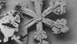 Így néz ki egy hópehely elektronmikroszkóp alatt (GALÉRIA)