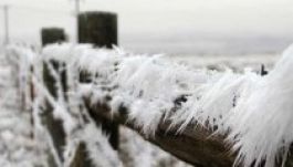 Farkasordító hideg volt vasárnap éjjel Hargita megyében