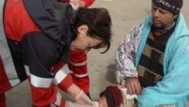 Kevesebb a kutyaharapás, mint tavaly ilyenkor