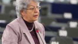 Az erősödő magyarellenességre figyelmeztet az MKP képviselője