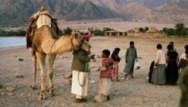 Az izraeli kormány mégsem telepíti át a nomád beduinokat