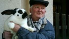 Évről-évre csökken a kisállattartók száma Szatmárnémetiben