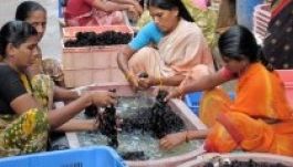 Egy tonna hajat találtak egy brazil reptéren