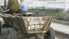 Csak engedéllyel lehetne ezentúl szekerezni Háromszéken?