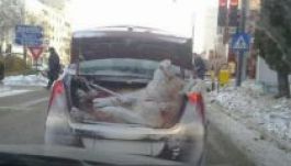 Ilyet is csak Romániában láthat az ünnepek környékén