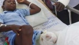 Puszta kézzel nekiment a fiára támadó krokodilnak