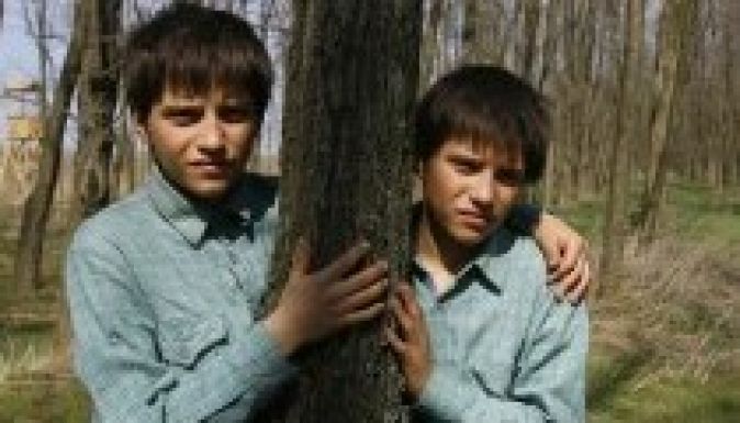 Észak-amerikai forgalmazóra talált A nagy füzet