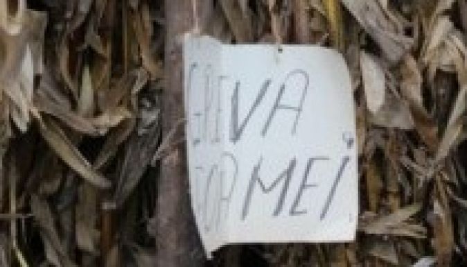 Folytatódik a tüntetés Pungeștien