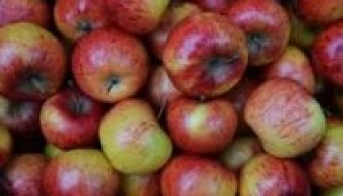 Van olyan gyerek, aki csak annyit eszik, amennyit az iskolában kap
