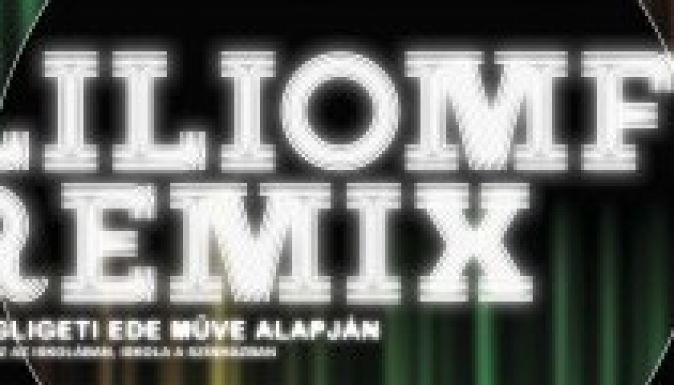 Magyar Kultúra Napja Váradon: Liliomfi Remix