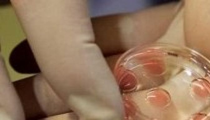 Sikertörténet is van Romániában: a lombikbébiprogram