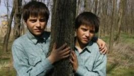 Észak-amerikai forgalmazóra talált A nagy füzet