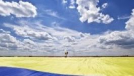 A román zászló a Huffington Post 2013-at összesítő képgalériájában