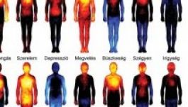 Elkészítették az érzelmek testtérképét