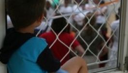 Az örökbefogadható gyerekeknek csupán egy százaléka lelt családra 2013-ban