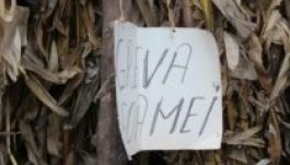 Folytatódik a tüntetés Pungeștien