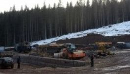 Indigó csoport: már erdőt irtanak az olajért Kommandón