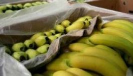 Kokaint találtak a banánok közt német szupermarketekben