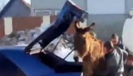 Vajon befér ez a csacsi a csomagtartóba? (VIDEÓ)