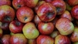 Van olyan gyerek, aki csak annyit eszik, amennyit az iskolában kap