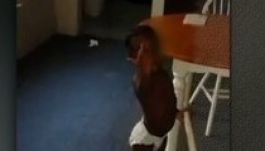 Kétévest vitt el káromkodás miatt a rendőrség