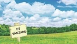 Băsescu: a magyarok csak egy hektár földet vásárolhassanak