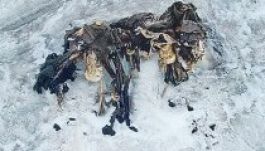 Magyar katonák is nyugodhatnak még az észak-olasz gleccserekben