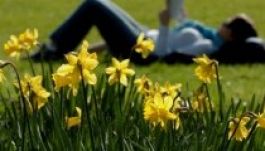 Március végi időjárás várható, akár 17 fok is lehet