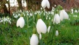 Kirándulóidő várható a hét végén Erdélyben