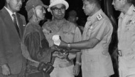 Meghalt a háború után 30 évig tovább harcoló japán katona