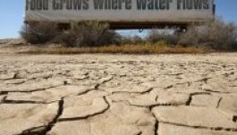 Szükségállapot Kaliforniában az aszály miatt