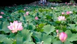 Hagyományos szénhidrogének után kutatnak Félixfürdőn