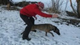 Speciális kutyákkal bővült a Hargita megyei hegyimentők csapata