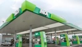Jól ment az üzlet tavaly a Molnak Romániában
