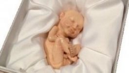 Magzatokat nyomtat 3D-ben egy amerikai cég