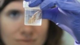 Rákban pusztult el 11 ezer évvel ezelőtt egy kutya