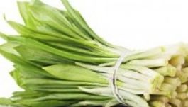 Szocsi 2014: nem szedhetnek medvehagymát az olimpia alatt