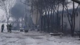 Tizenegyezernél több tyúk puszult el egy hodályban Sükösdön